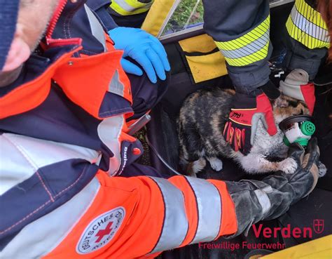 Feuerwehr Rettet Katze Nach Zimmerbrand Freiwillige Feuerwehr Stadt