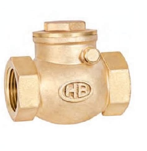 Buy Drp Inch Brass Swing Check Valves Screwed Online In India At