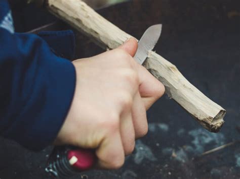 Whittle A Stick And Learn A Woodland Bushcraft Skill Fox Wood Campsite