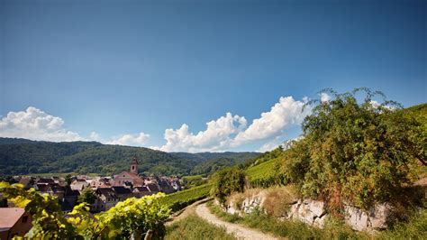 Wine Growing Estate Ch Teau De Riquewihr Dopff Irion Alsace Wine