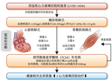 急性心力衰竭伴铁缺乏补铁治疗可降低心衰再住院风险 丁香园