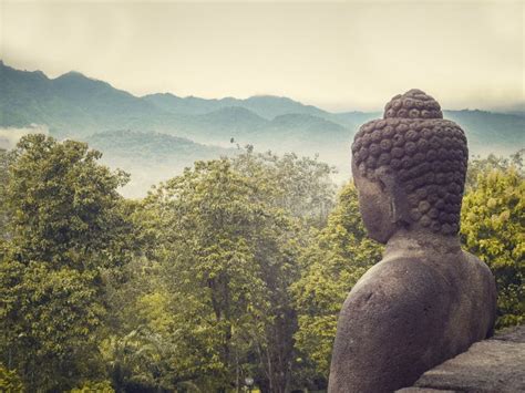 Buddha Statue In Nature Stock Photo Image Of Oriental 60010294