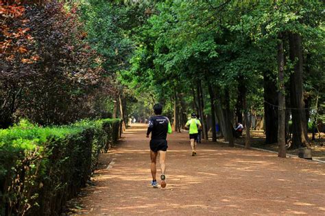 6 Lugares Para Hacer Ejercicio Al Aire Libre En CDMX