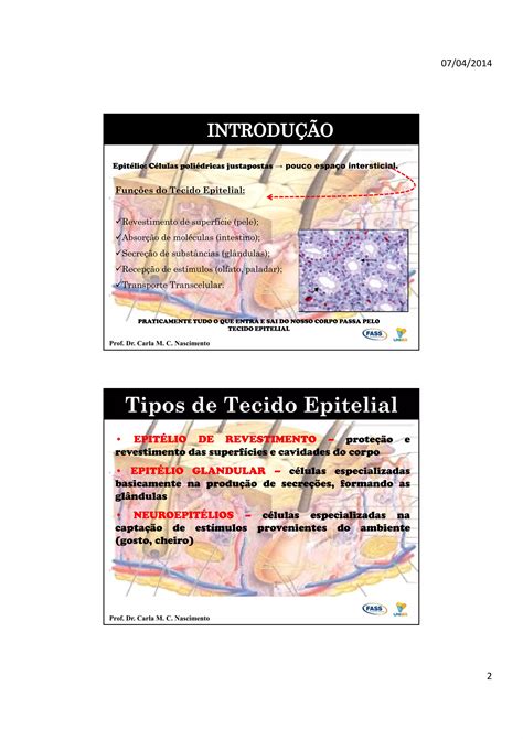 Aula De Histologia Tecido Epitelial Modo De Compatibilidad PDF