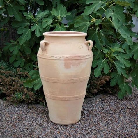 Frostfeste Terracotta Amphore Olea H Cm Palatina Werkstatt