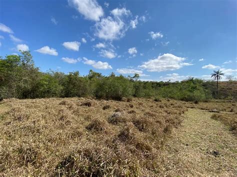 Fazenda S Tio Na Rua Serra Negra Sn Saraiva Em Betim Por R