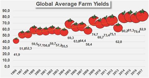 Agricultural Yields 60 Increase Over 20 Years Tomato News