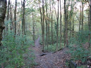 History - Blackley Forest