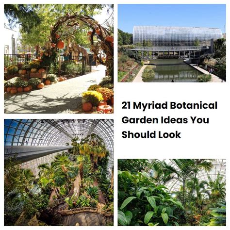 Myriad Botanical Garden Ideas You Should Look Sharonsable