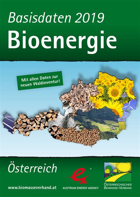 Biomasse Verband Ver Ffentlicht Basisdaten Bioenergie