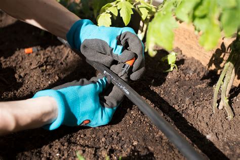 How To Use Drip Tape Irrigation Chicago Land Gardening