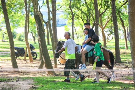 金門搶攻暑假親子旅遊市場體驗遊程 蕃新聞