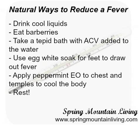 Natural Ways To Reduce Fever How To Stay Healthy Making Medicine