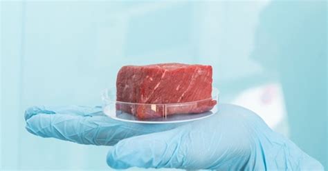 BSF Enterprise Shares Rally Lab Grown Meat On The Way LSE BSFA