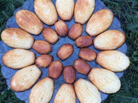 Recettes De Madeleines De Mes Petites Recettes Pr F R Es