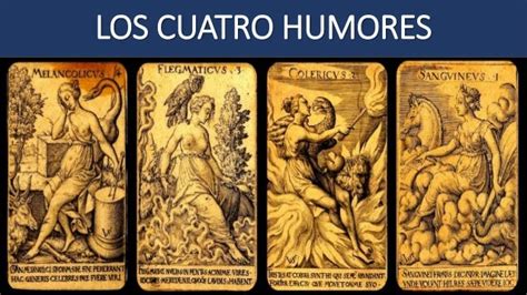 TeorÍa De Los Cuatro Humores