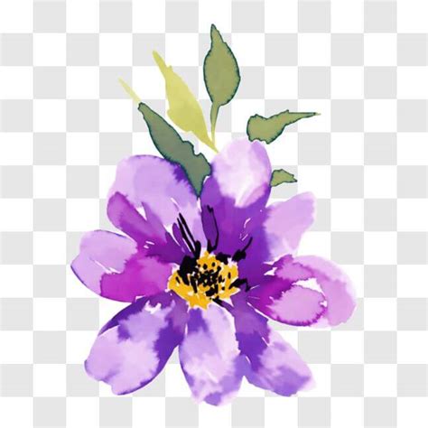 Télécharger Illustration aquarelle d une fleur violette avec des