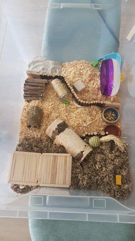 My Hamster Has Been Really Enjoying His New Bin Cage Hamsters