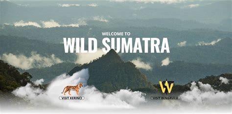 Wild Sumatra Jungle Trekking - Kerinci Seblat National Park ...