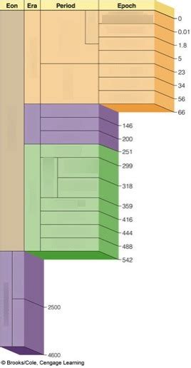 Geological Time Scale Diagram Quizlet