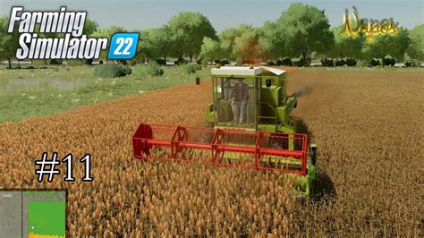 First Time Sorghum Harvest Farm Expansion Farming Simulator