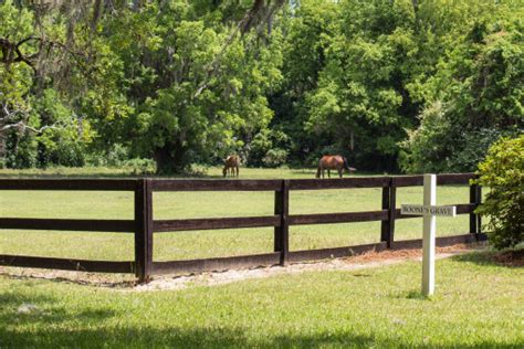 Free Images Nature Grass Field Farm Lawn Rural Pasture Ranch