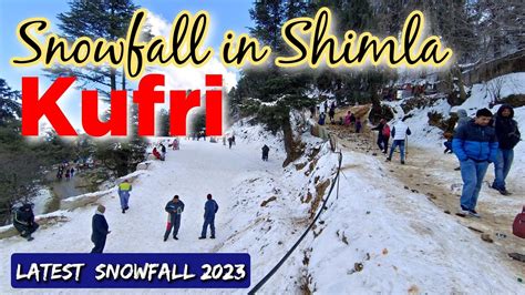 Snowfall In Kufri Kufri Shimla Himachal Pradesh Snowfall Kufri