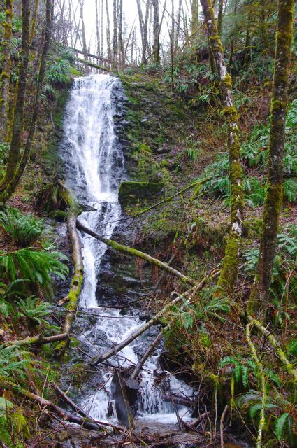 Bridge Creek Falls Coast Range Hiking In Portland Oregon And