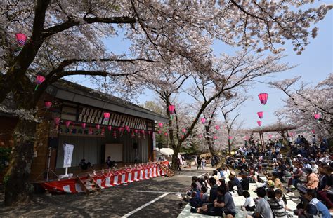 あつぎ飯山桜まつり By 徒歩通勤1時間 （id：8585360） 写真共有サイトphotohito