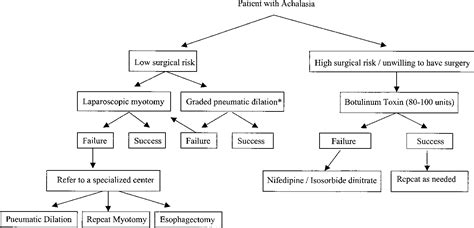 Figure 1 From Diagnosis And Management Of Achalasia Semantic Scholar