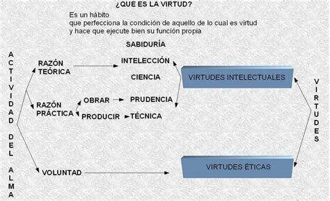 Esquema De Aristóteles ¡fotos And Guía 2024