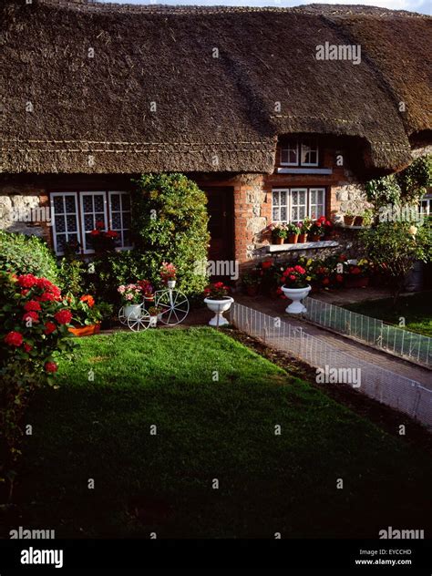 Co Limerick Ardare Cottages Stock Photo Alamy