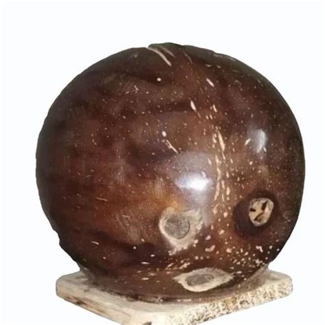 Brown Round Coconut Shell Piggy Bank Ml At Rs Piece In