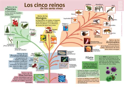 Biodiversidad