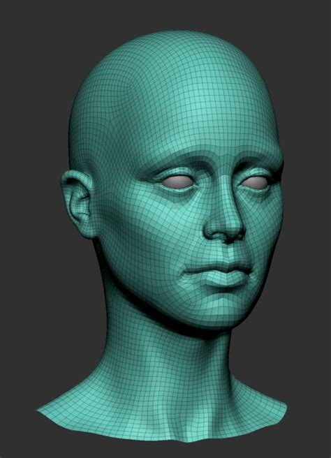 Female Head Base Mesh 3D Model 9 Obj Ztl Free3D