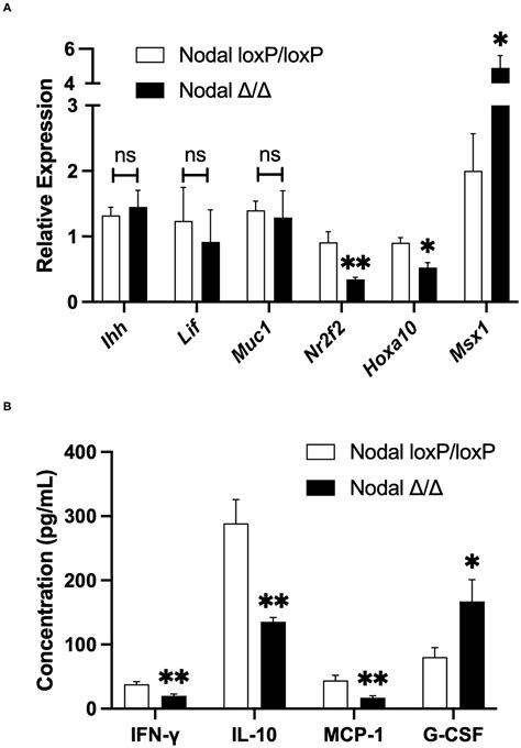 Frontiers Uterine Nodal Expression Supports Maternal Immunotolerance