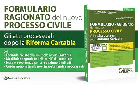 Formulario Ragionato Del Nuovo Processo Civile Gli Atti Processuali