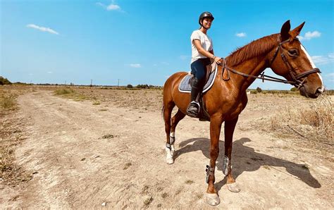 Archives Des Stage Centre Equestre Du Muscadel