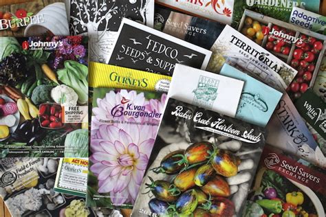 90+ Free Seed Catalogs (& Nursery Catalogs Too!)