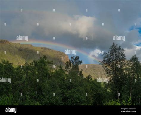 Rainbow over green hills,mountains and birch tree forest at Swedish ...