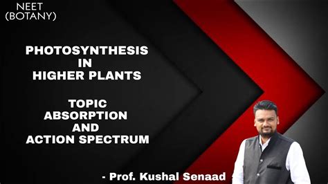 Photosynthesis Absorption And Action Spectrum Youtube