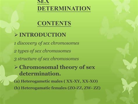 Sex Determination Chromosomal Theory Of Sex Determination Ppt