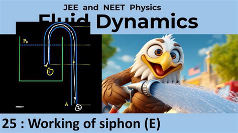 25 Bernoulli S Equation Working Of Siphon IIT JEE Physics YouTube