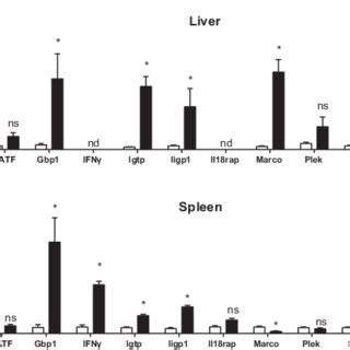 Validation Of Microarray Analyses By Qrt Pcr Rna Pooled From Three To