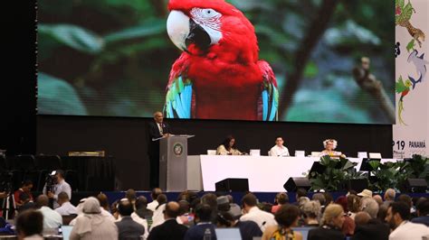 Vicepresidente Carrizo Jaén inaugura conferencia mundial1