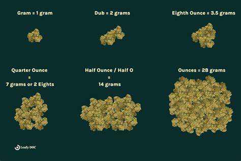 A Comprehensive Guide to Cannabis Measurements | Leafy DOC