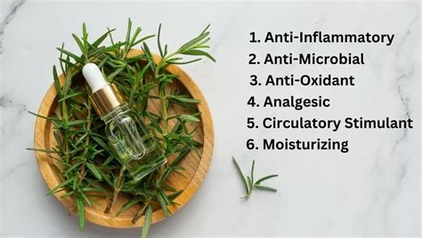 Rosemary Oil For Dandruff: Does It Really Work?