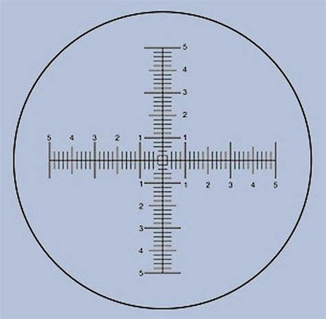 Microscope Micrometers Eyepiece Reticles Reticules