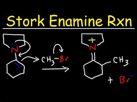 Learn Stork Enamine Reaction Mechanism Alkylation Acylation Michael