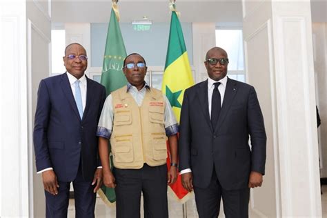 La Mission D Observation De L Union Africaine Re U Par Les Ministres